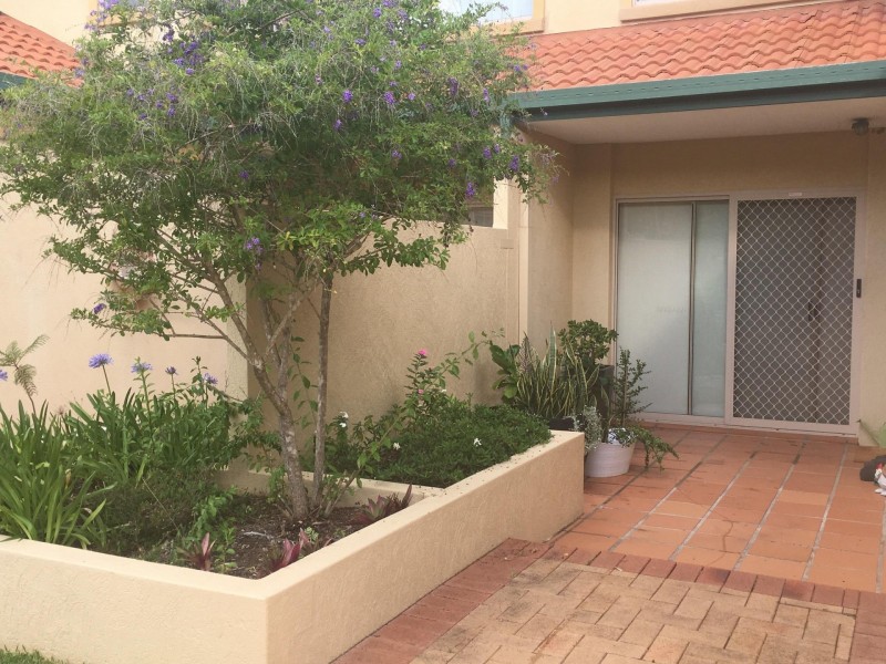 152 Palm Meadows Drive, Carrara QLD 4211