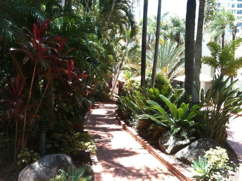 Unit 215/27-31 Orchid Avenue, Surfers Paradise QLD 4217