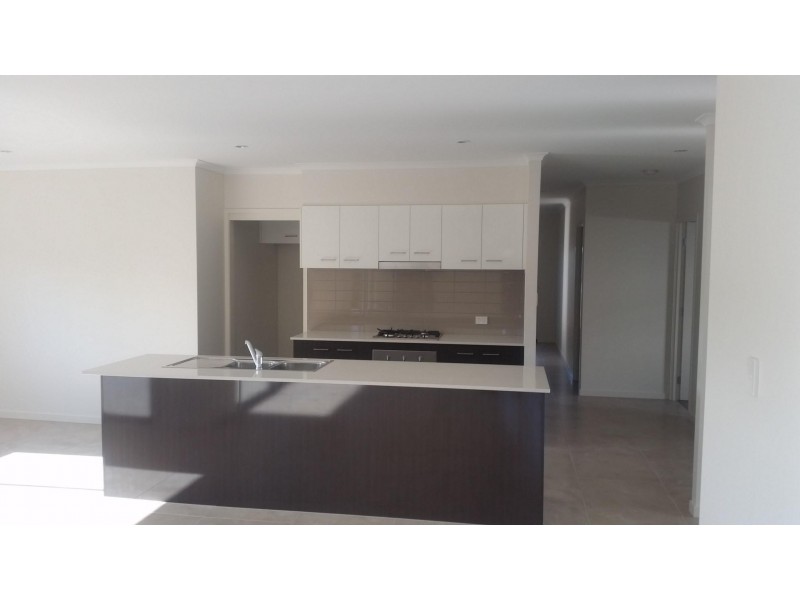 43 Petrel st, Mountain Creek QLD 4557