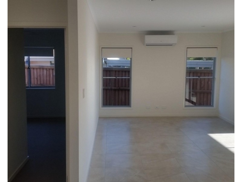 43 Petrel st, Mountain Creek QLD 4557