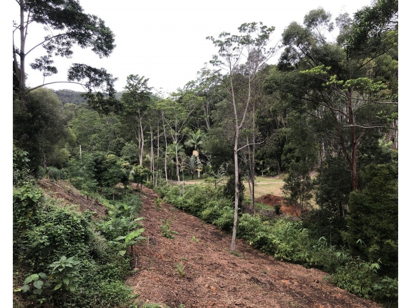 60 Fordyce Close, Currumbin Valley QLD 4223