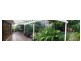 10 Tamarix Street, Chapel Hill QLD 4069