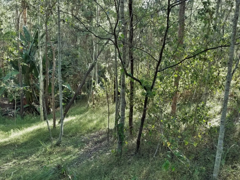 Bellbird Park QLD 4300