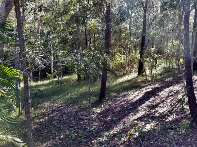 Bellbird Park QLD 4300