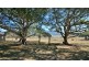 Thornton QLD 4341