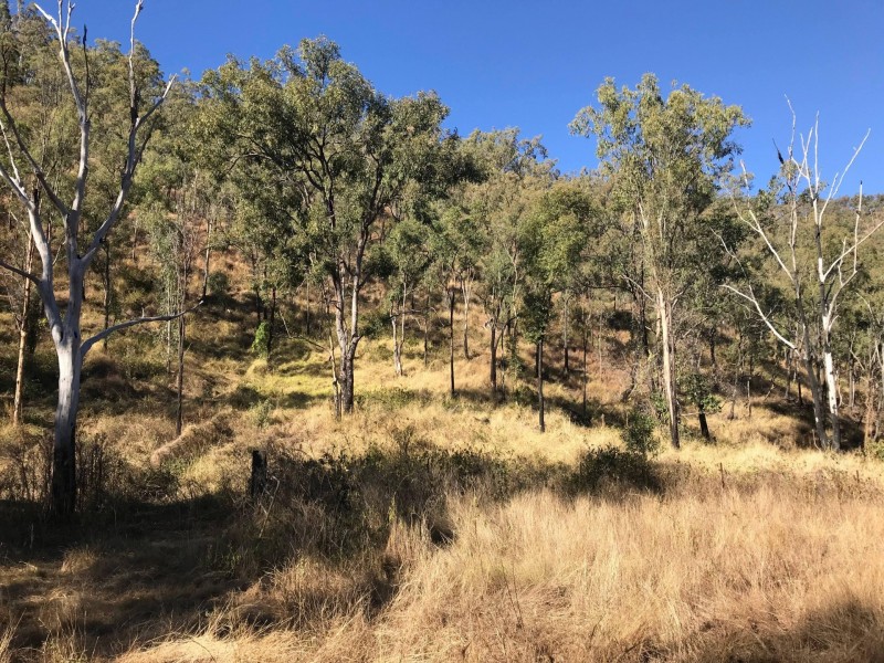 Thornton QLD 4341
