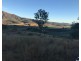Thornton QLD 4341