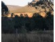 Thornton QLD 4341