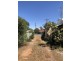 32 Zouch Street, Wellington NSW 2820