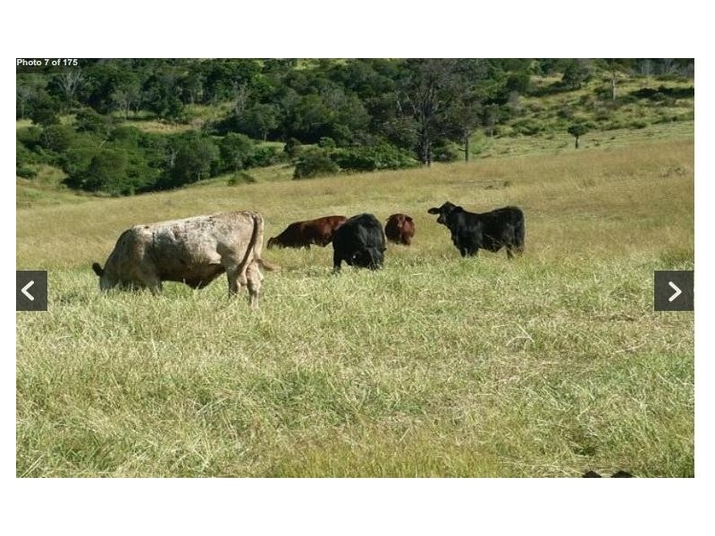 Laidley Creek West QLD 4341