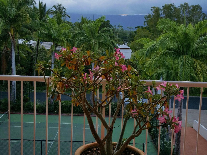 12-14 Deauville Close, Yorkeys Knob QLD 4878