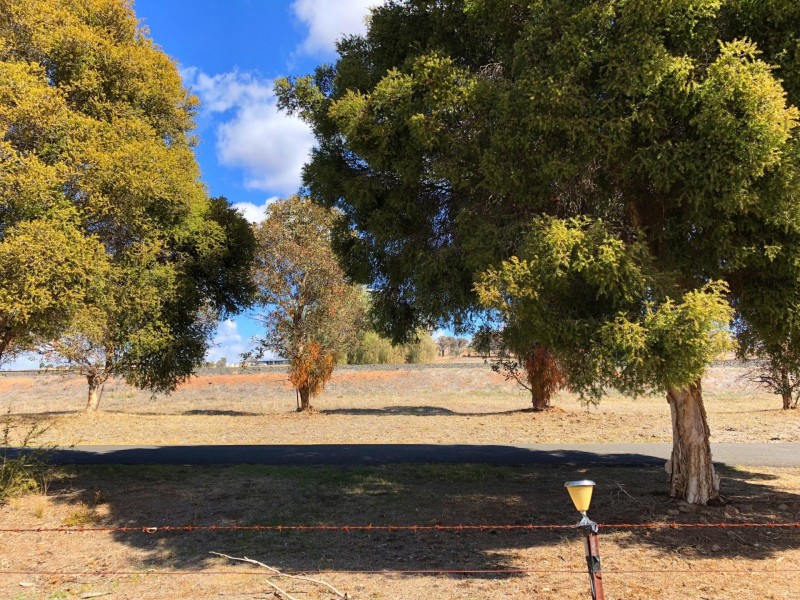 1 Burrendong Way, Mumbil NSW 2820