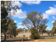 1 Burrendong Way, Mumbil NSW 2820