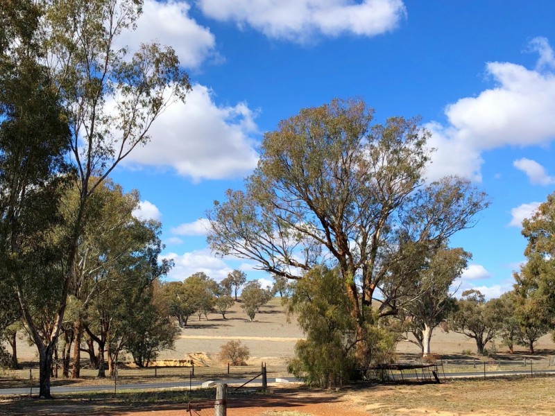 1 Burrendong Way, Mumbil NSW 2820