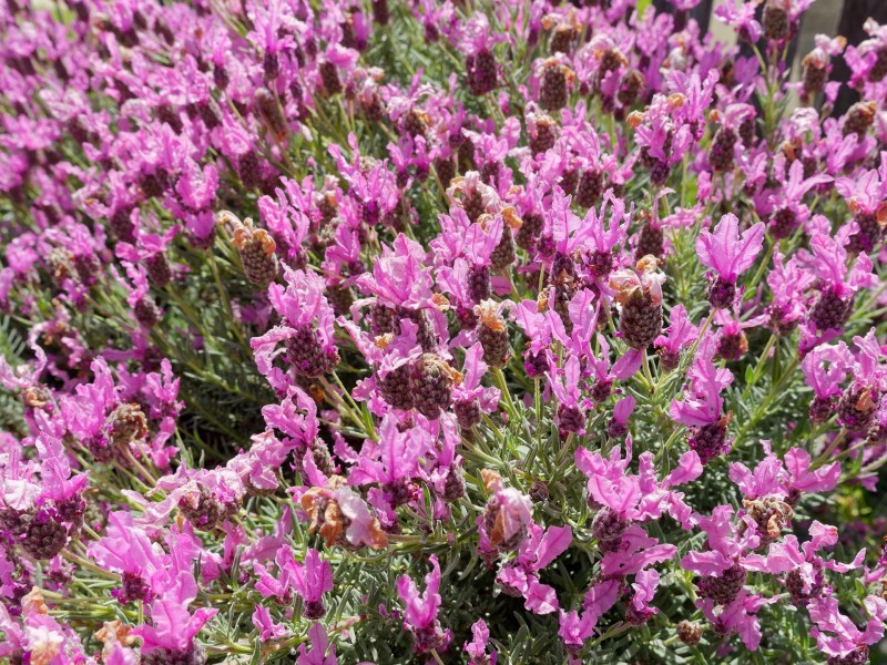 18 Spencer Street, Moss Vale NSW 2577