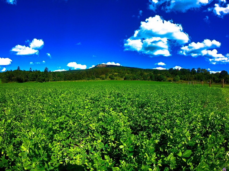 3 Tutin Road, Fassifern Valley QLD 4309