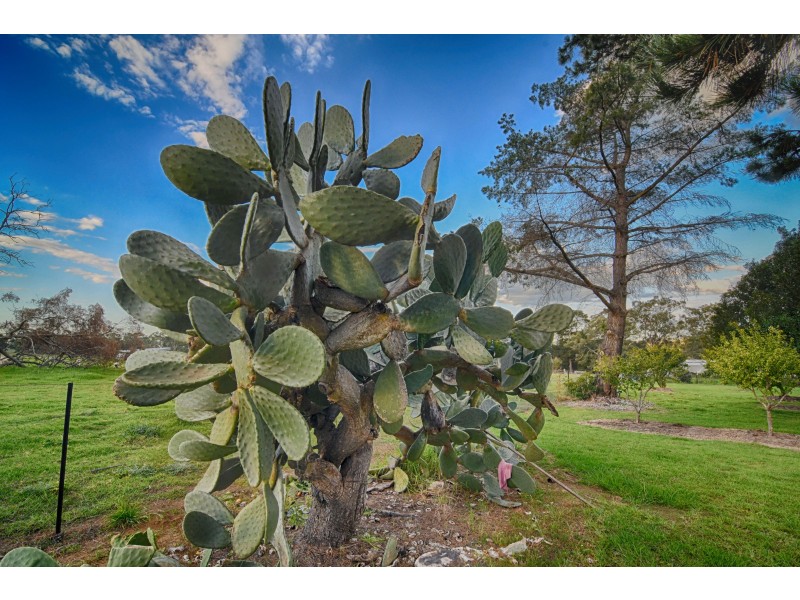 15 Nixon Road, Thirlmere NSW 2572