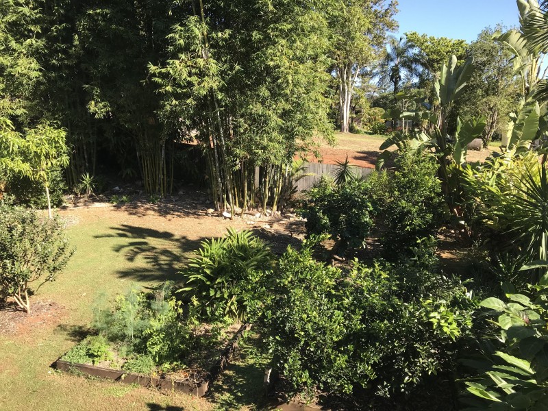 70 Elizabeth Street, Nambour QLD 4560
