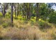 23 Newtons Road, Eden Creek NSW 2474