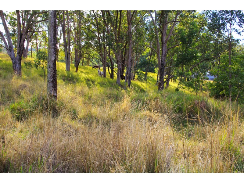 23 Newtons Road, Eden Creek NSW 2474