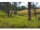23 Newtons Road, Eden Creek NSW 2474