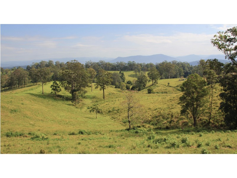 525 Sargents Road, Homeleigh,, Kyogle NSW 2474