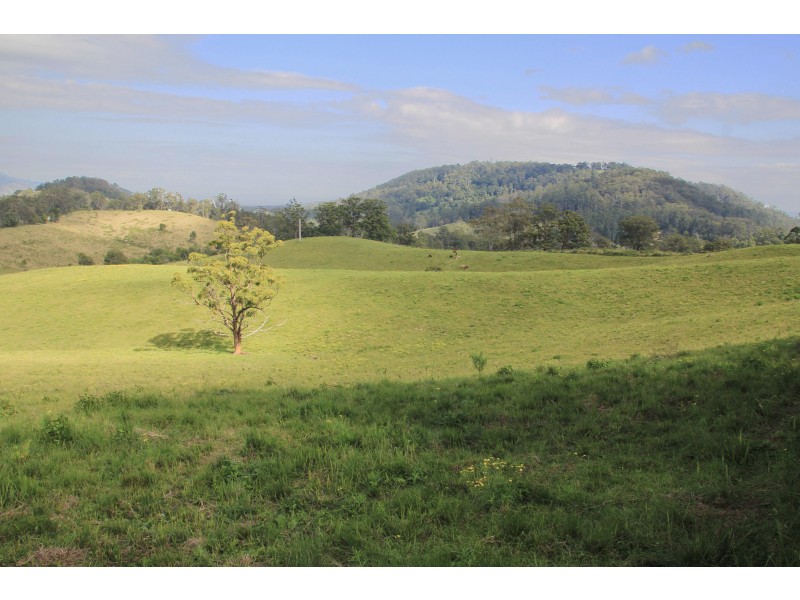 525 Sargents Road, Homeleigh,, Kyogle NSW 2474