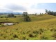 525 Sargents Road, Homeleigh,, Kyogle NSW 2474