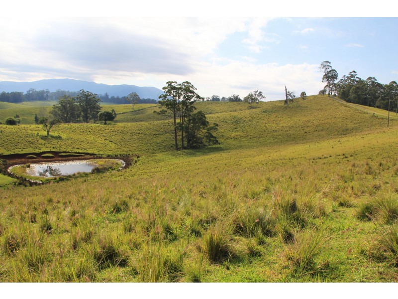 525 Sargents Road, Homeleigh,, Kyogle NSW 2474