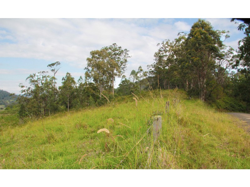 525 Sargents Road, Homeleigh,, Kyogle NSW 2474