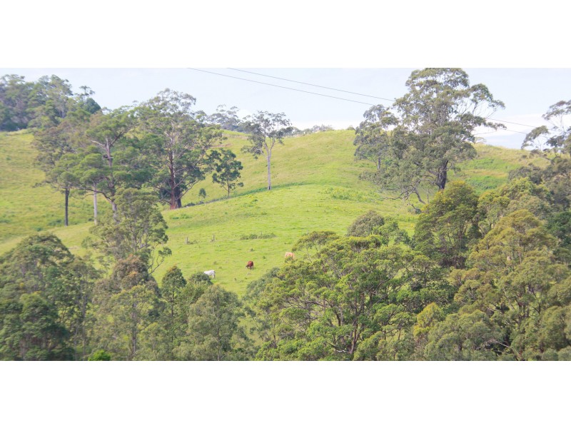 525 Sargents Road, Homeleigh,, Kyogle NSW 2474