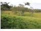 525 Sargents Road, Homeleigh,, Kyogle NSW 2474