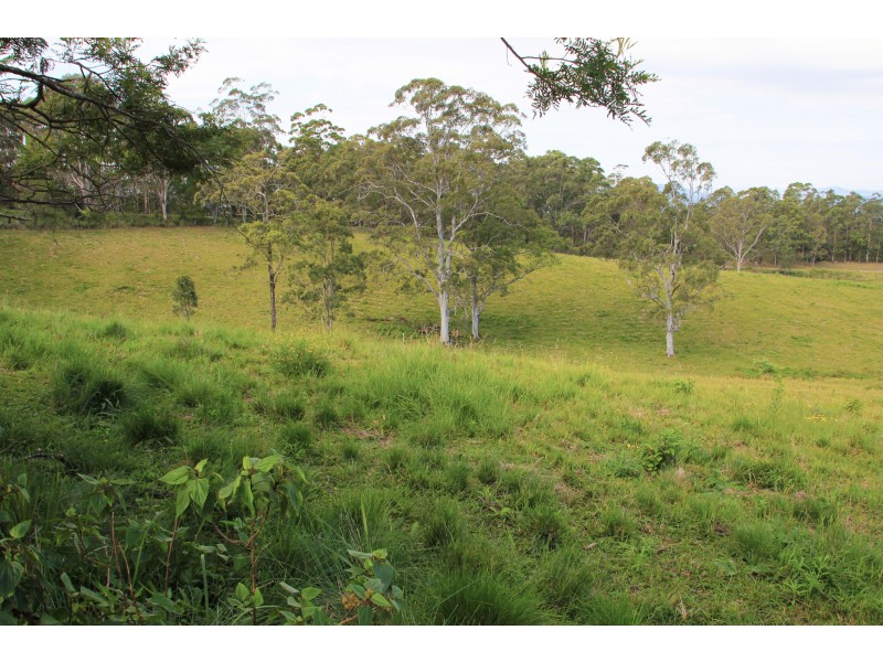 525 Sargents Road, Homeleigh,, Kyogle NSW 2474
