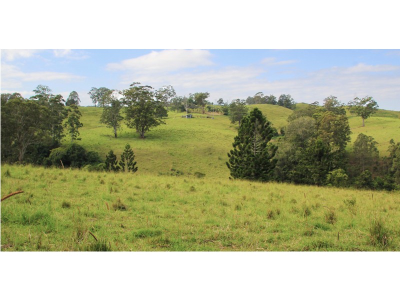 525 Sargents Road, Homeleigh,, Kyogle NSW 2474