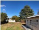 59 Maxwell Street, Wellington NSW 2820