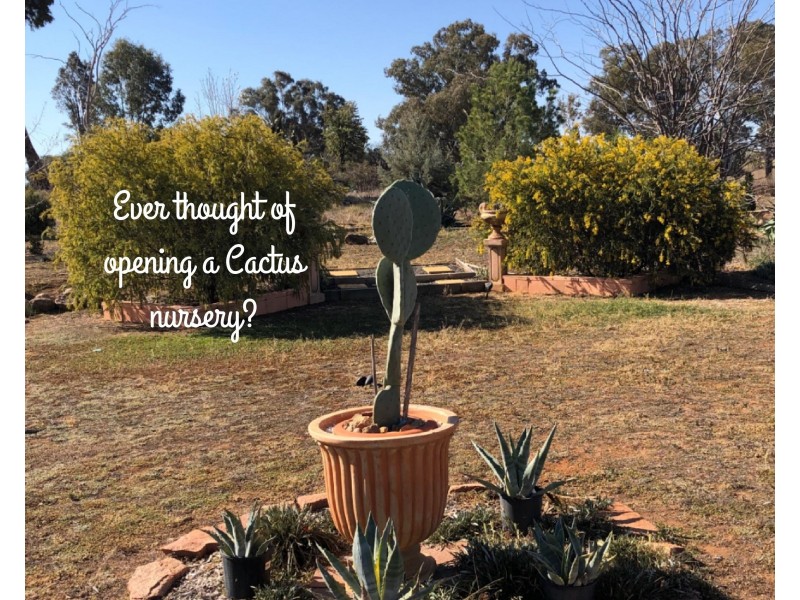 North Yeoval NSW 2868