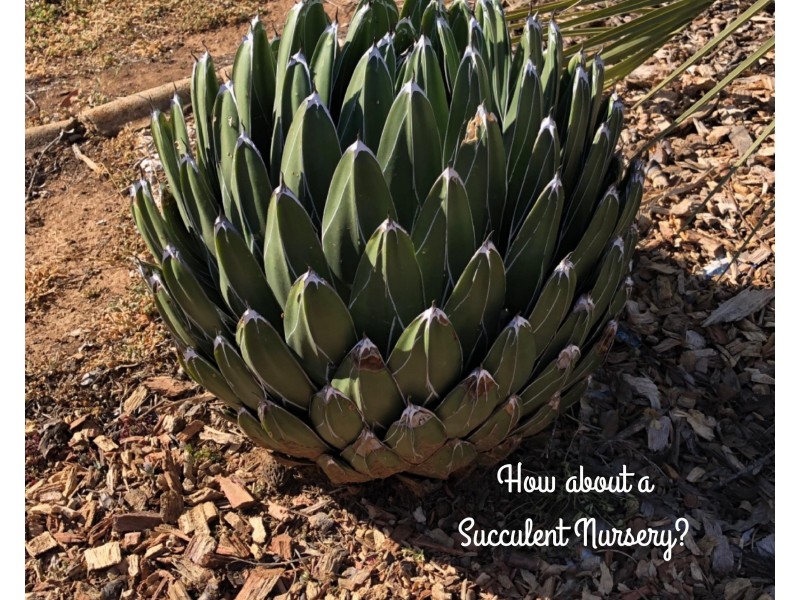 North Yeoval NSW 2868