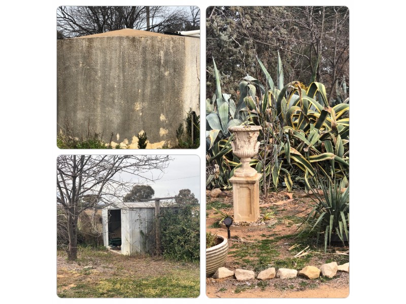 North Yeoval NSW 2868