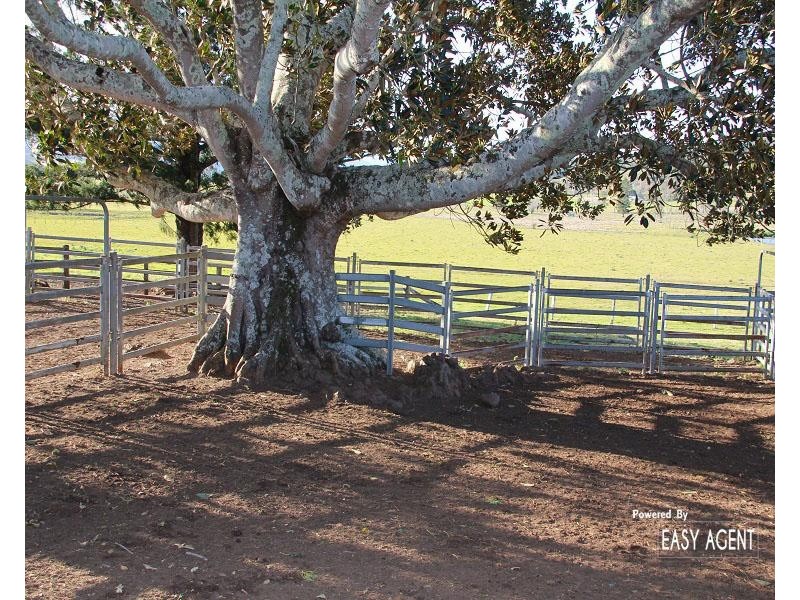 310 Fawcetts Plain Road, Kyogle NSW 2474