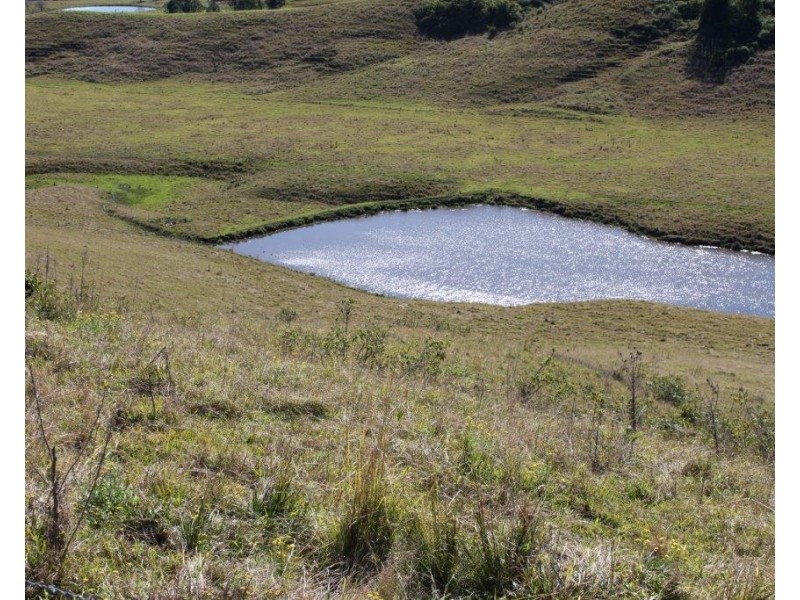 310 Fawcetts Plain Road, Kyogle NSW 2474