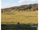 310 Fawcetts Plain Road, Kyogle NSW 2474