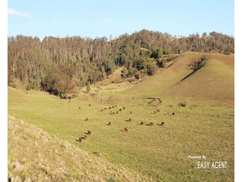 310 Fawcetts Plain Road, Kyogle NSW 2474
