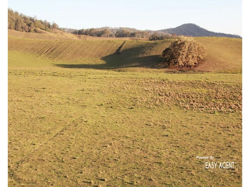 310 Fawcetts Plain Road, Kyogle NSW 2474