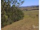 310 Fawcetts Plain Road, Kyogle NSW 2474