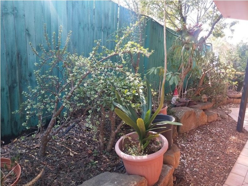 Chapel Hill QLD 4069