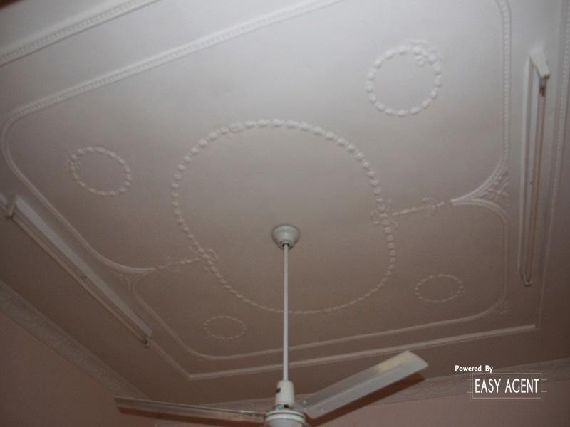 21 Rous Street,, Kyogle NSW 2474