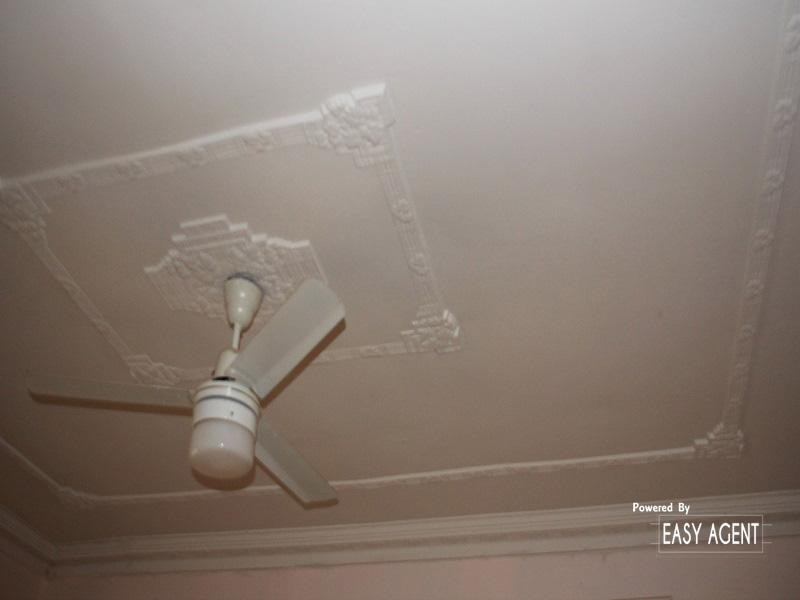 21 Rous Street,, Kyogle NSW 2474