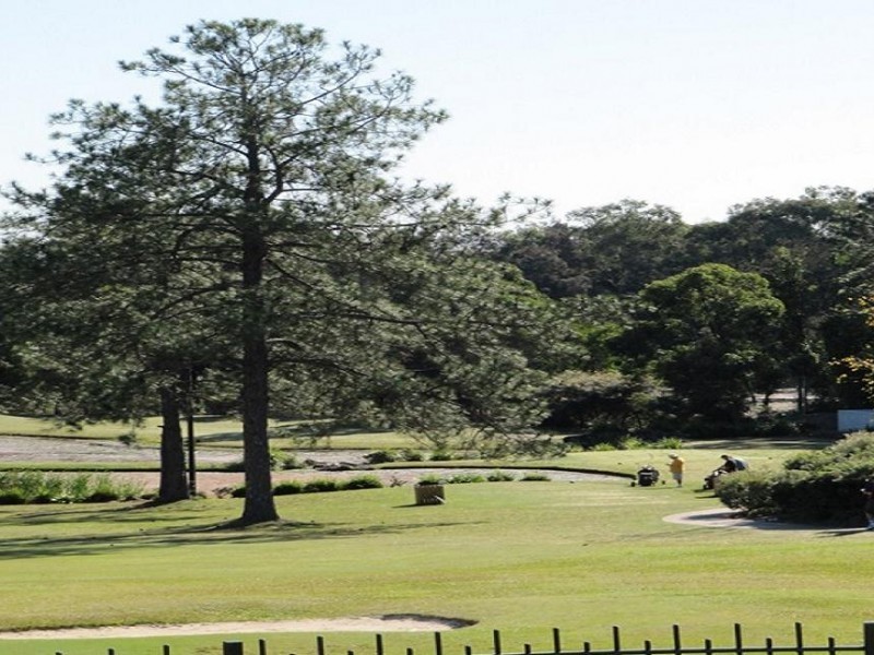 433  Brisbane Road, Arundel QLD 4214