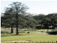 433  Brisbane Road, Arundel QLD 4214
