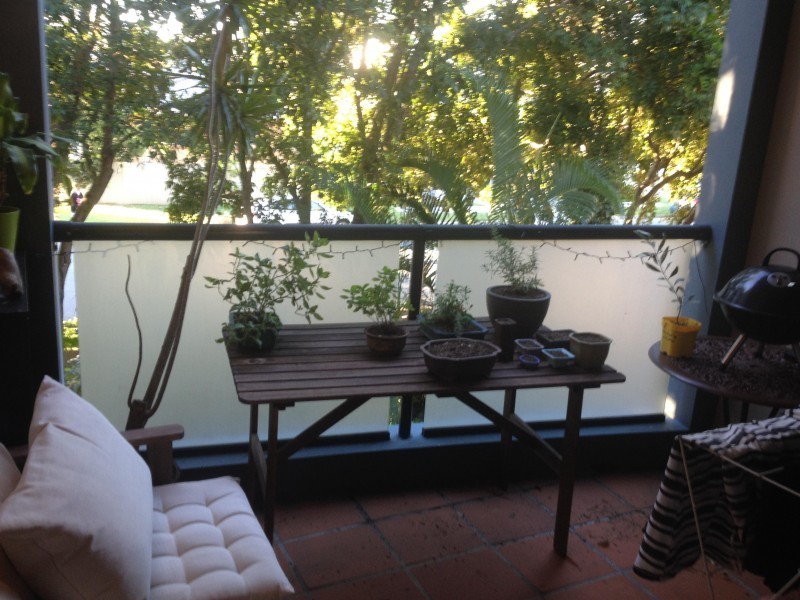 Chevron Island QLD 4217